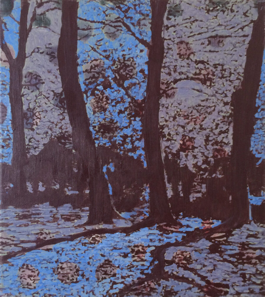 Peter de Graaff