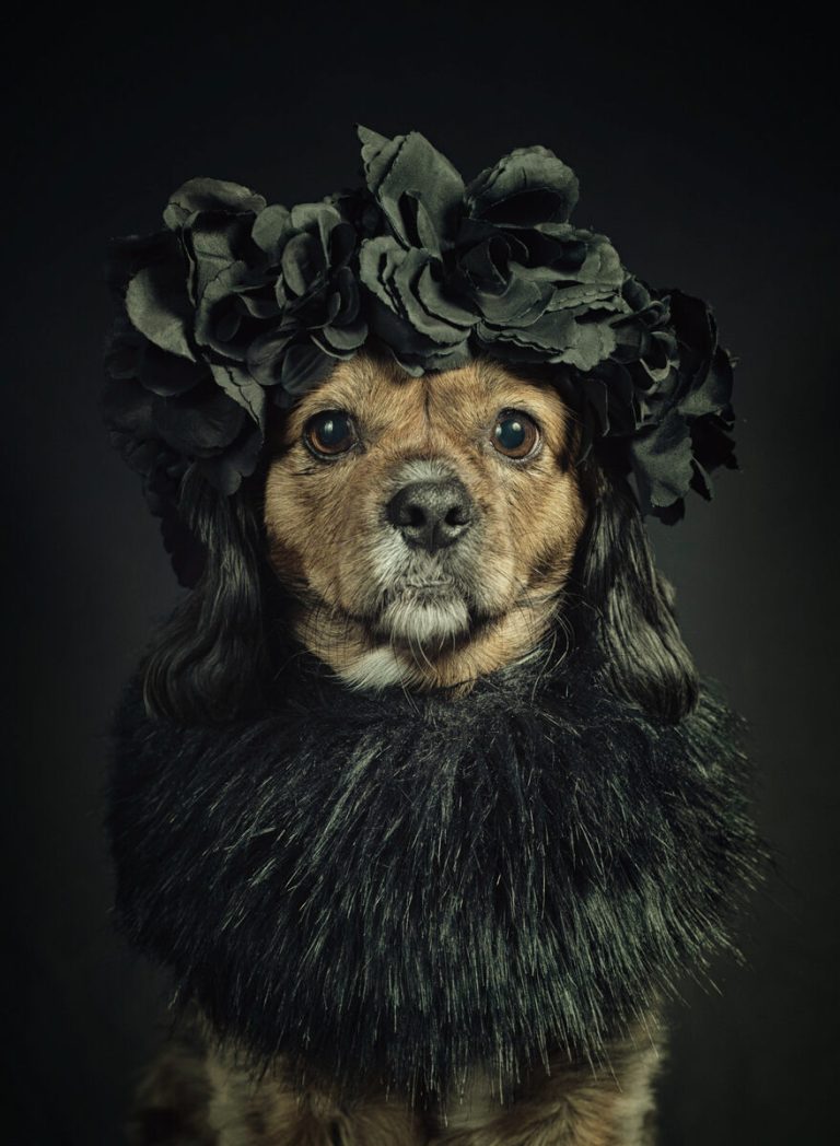 Ursula van de Bunte