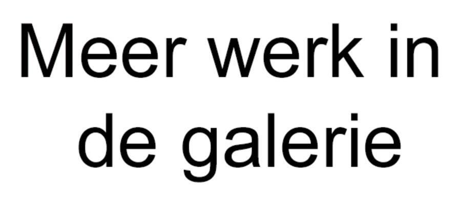 Meer werk in de galerie
