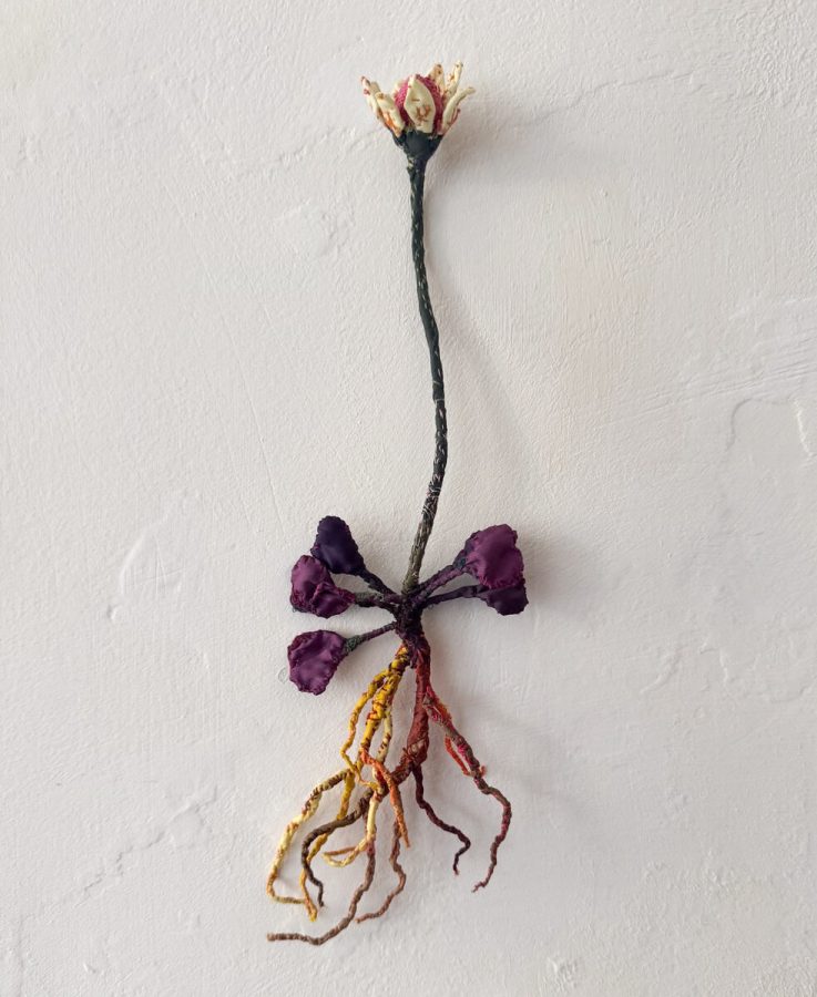 Anne Carnein, expo
