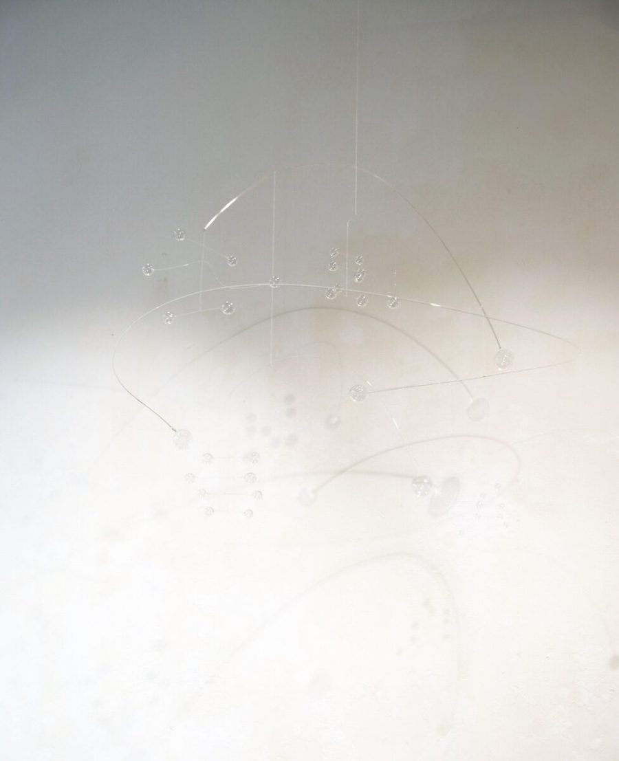 Anne Buscher