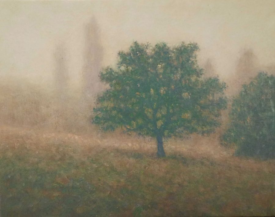 Tobias Spierenburg