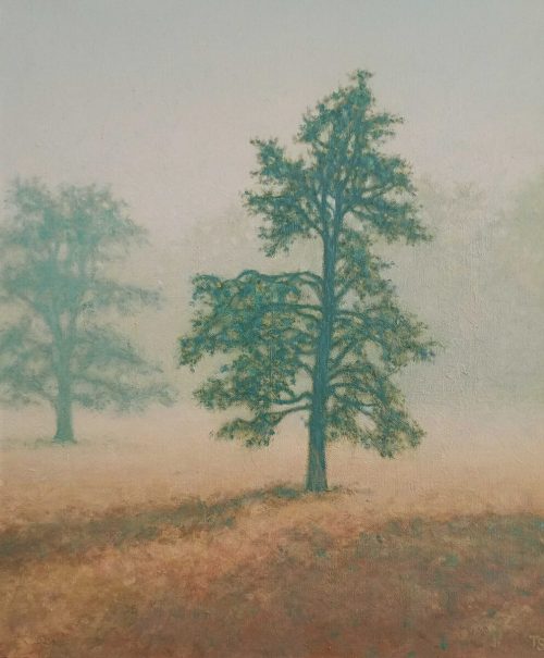 Tobias Spierenburg