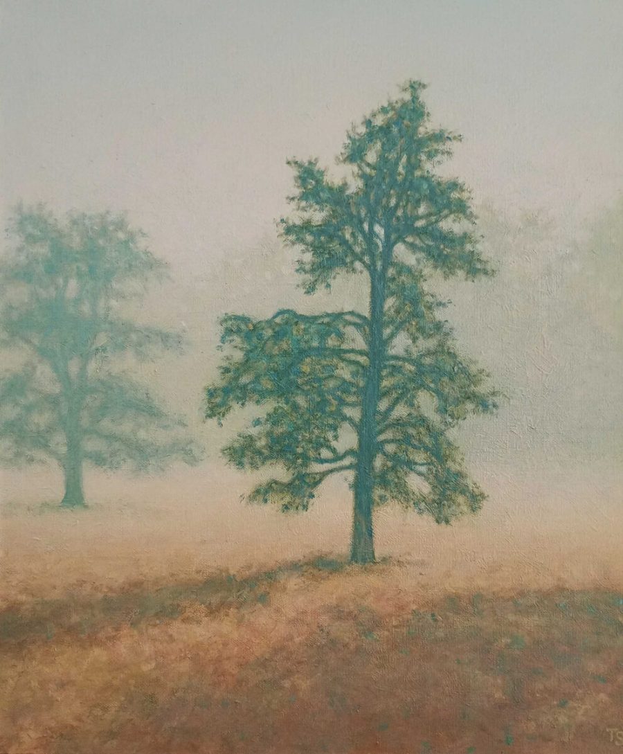 Tobias Spierenburg