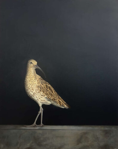 Judith Daams Curlew olieverf op doek
