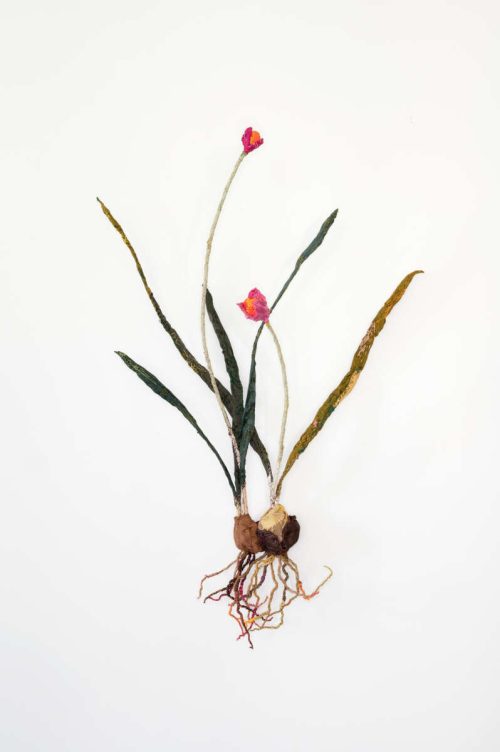 Anne Carnein