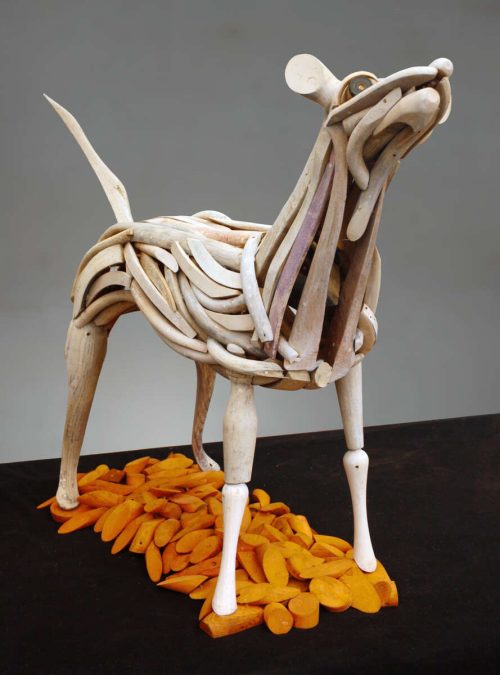 Marcel Warmenhoven Hond 2019