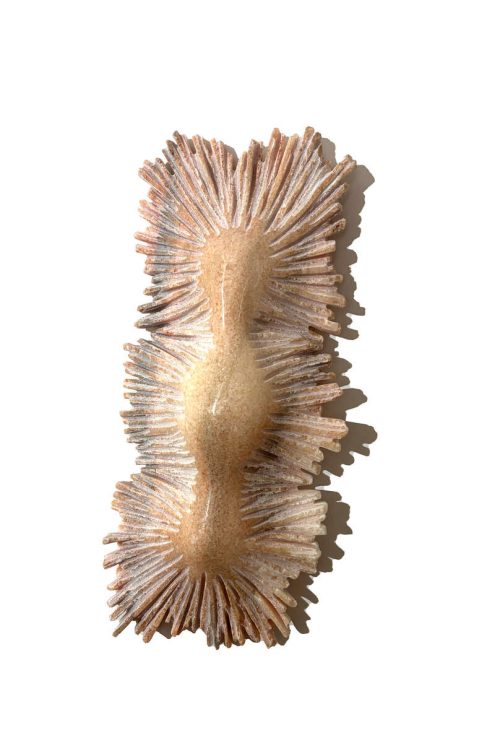 Ralf Weber Amorphy portugees marmer 40 x 12 x 7 cm.