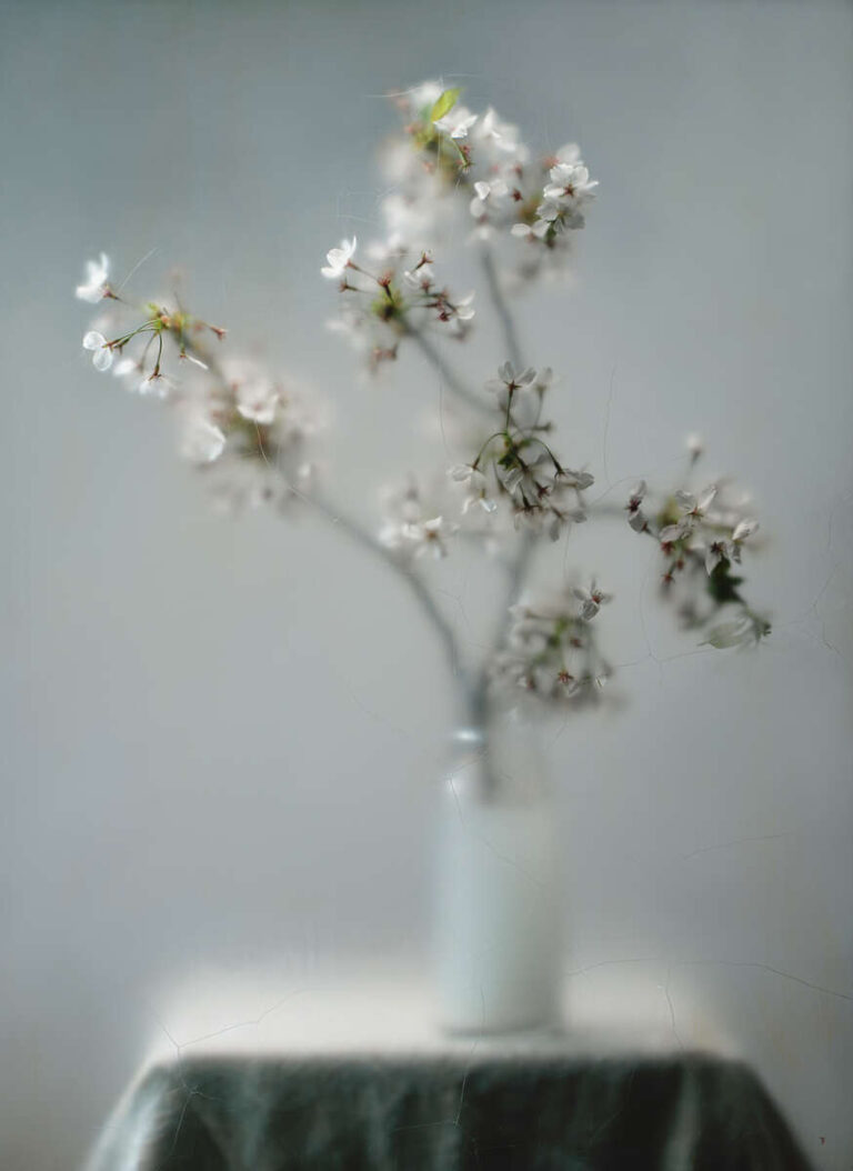 Titus Brein An Latha 2 fotografie