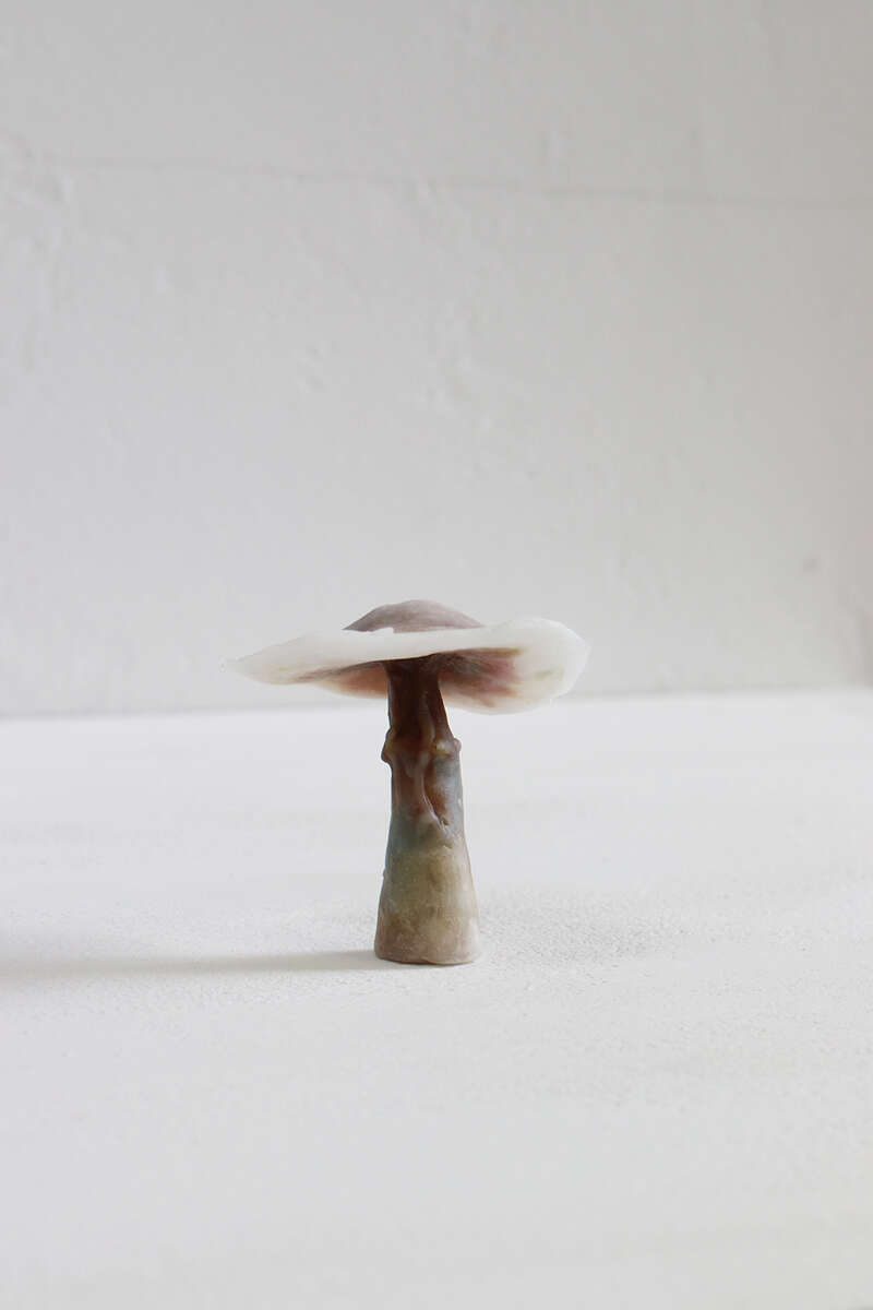 Miriam Knibbeler Miracles will happen was, pigment, ijzer