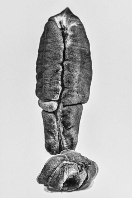 Rianne Noordegraaf New life 2 fotografie