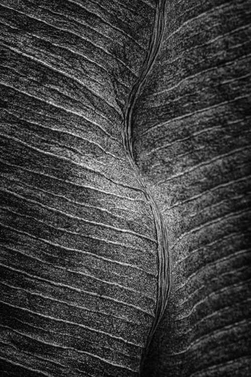 Rianne Noordegraaf Wonderlijk 25 fotografie 