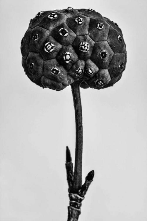 Rianne Noordegraaf Wonderlijk 5 fotografie 