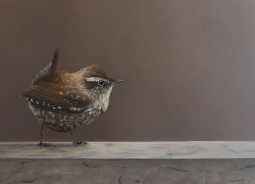 Judith Daams Winter wren oil on panel 