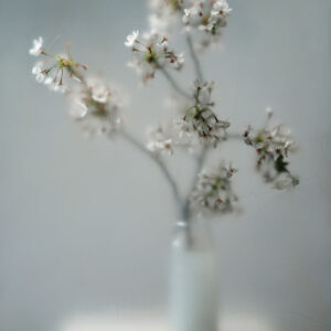 Titus Brein An Latha 2 fotografie 