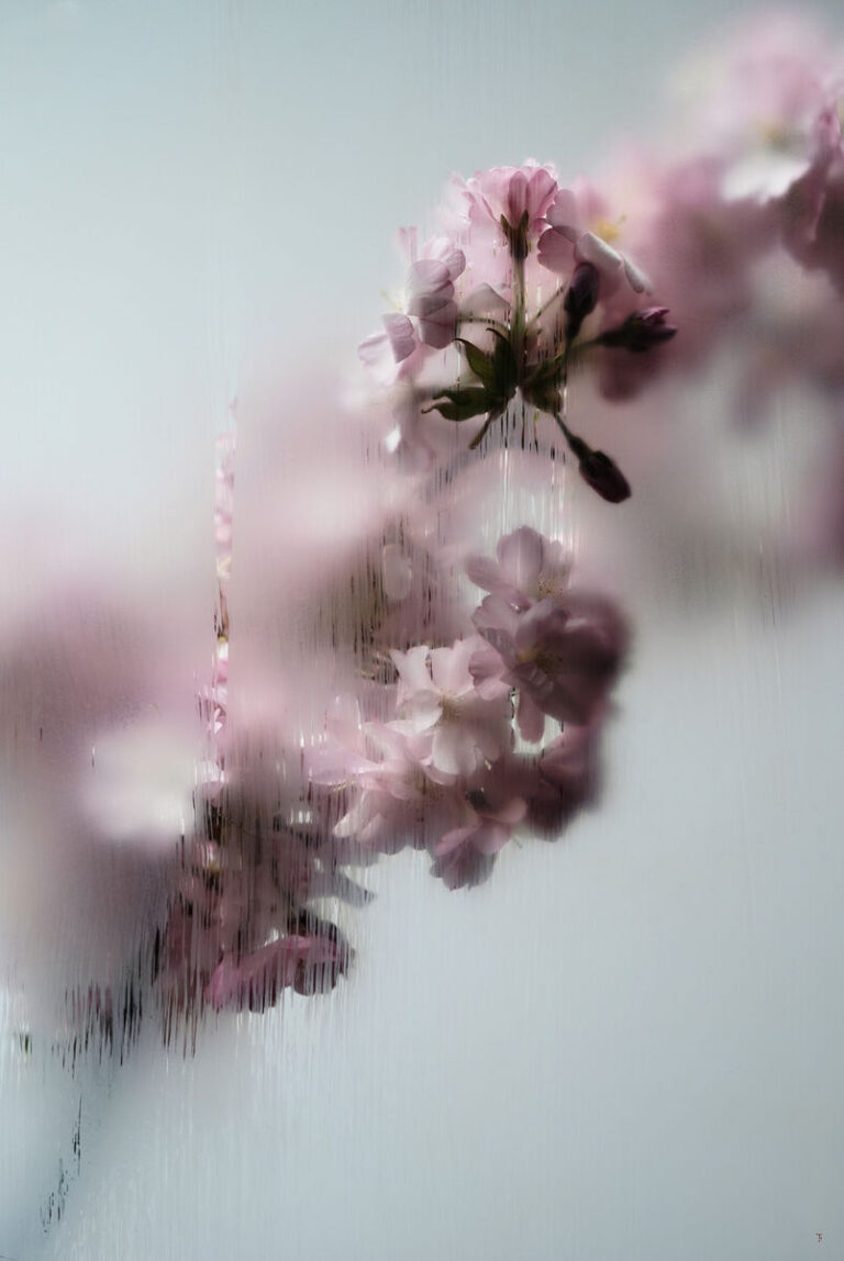 Titus Brein Flora Brava fotografie