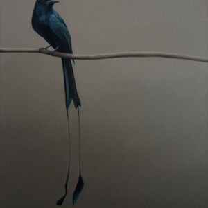 Judith Daams Racket-tailed drongo olieverf op linnen 