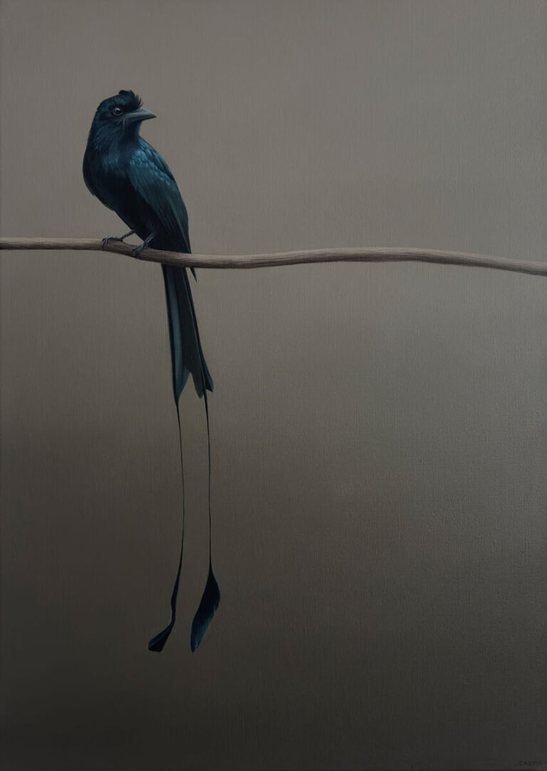Judith Daams Racket-tailed drongo olieverf op linnen
